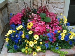 colorful garden container