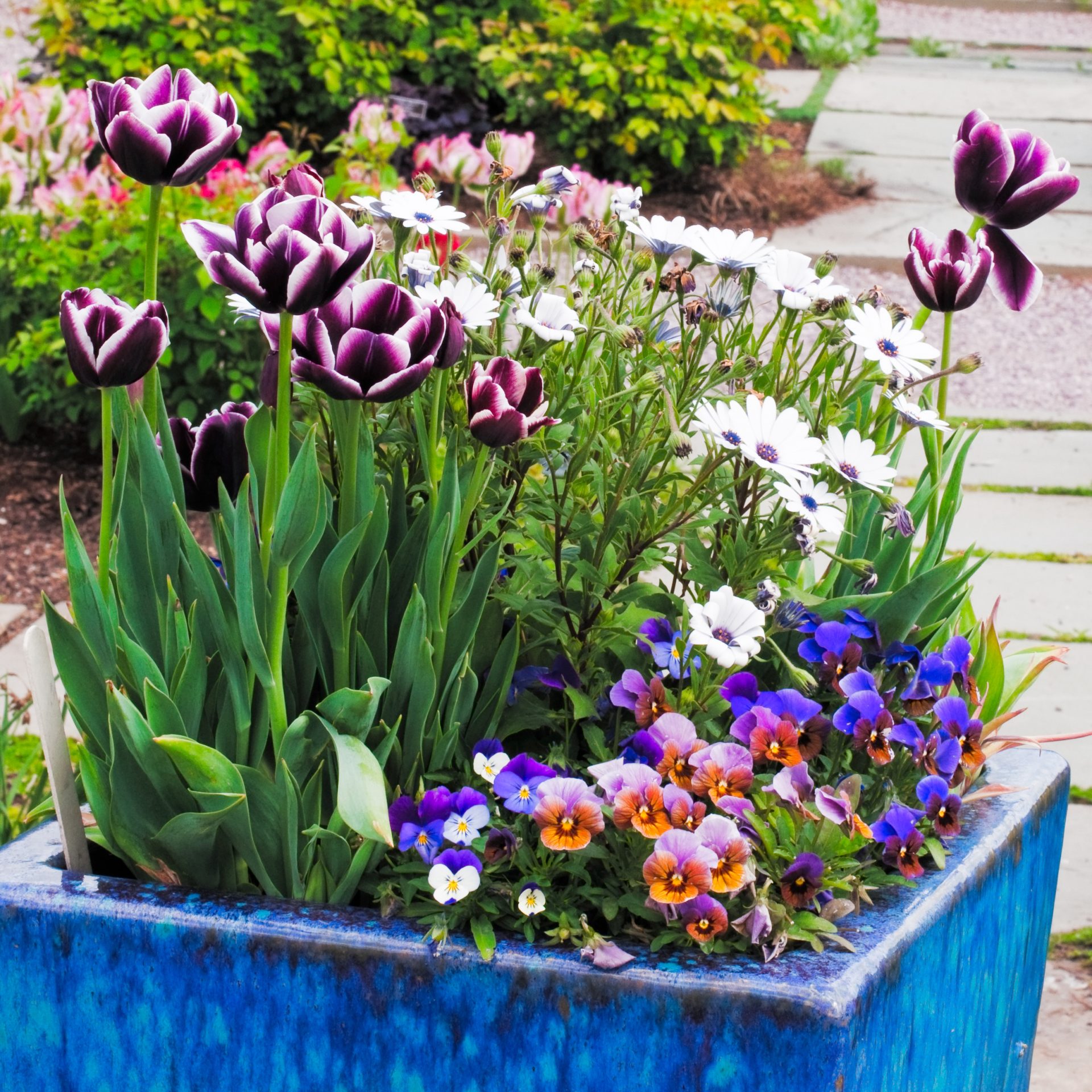 spring container for outdoor patio