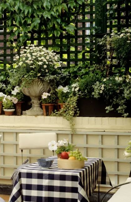 Patio Privacy Ideas